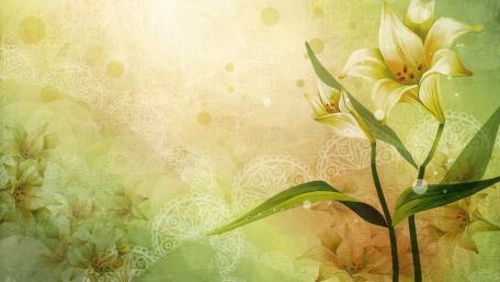 Elegant Lilies with Soft Green Background wallpaper