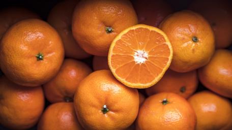 Vibrant Oranges Fresh and Juicy Delight wallpaper