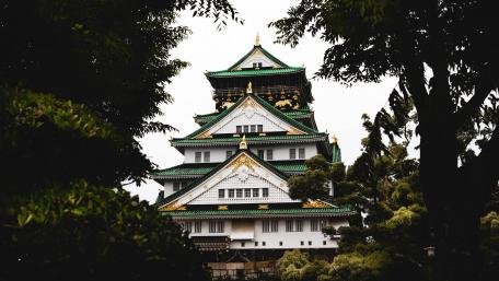 Majestic Castle Amidst Lush Greenery wallpaper