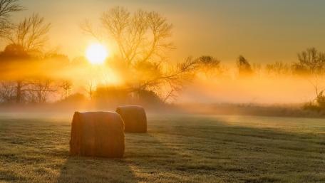 Serene Morning in the Countryside wallpaper