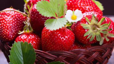 Fresh and Juicy Strawberries in a Basket wallpaper