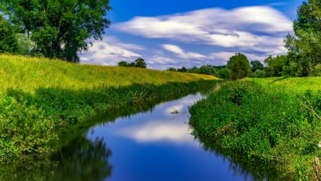 Tranquil River Surrounded by Lush Greenery wallpaper