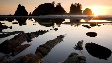 Shi Shi Beach, Olympic National Park, Washington wallpaper