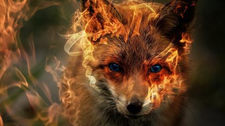 Fiery Fox Spirit wallpaper