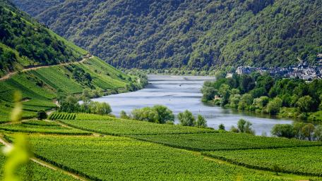 Serene River Valley in Lush Greenery wallpaper