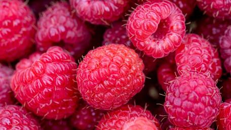 Vibrant Close-Up of Fresh Raspberries wallpaper