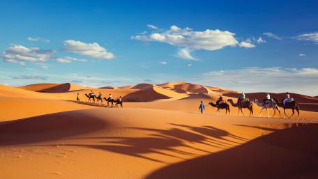 Camel caravan wallpaper