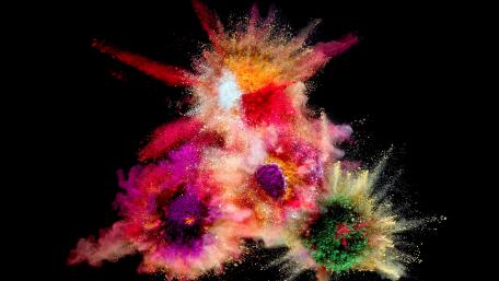 Vibrant Color Explosion on Black Background wallpaper