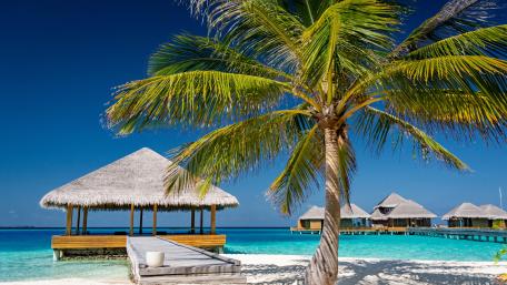 Tropical Paradise by the Sea wallpaper