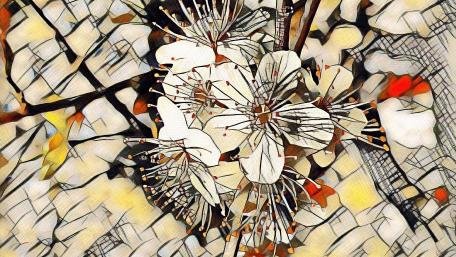 Elegant White Blossoms in Artistic Filtered Style wallpaper