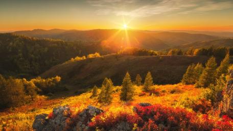 Golden Rays Over Serene Hillside Landscape wallpaper