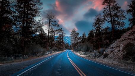 Serene Road Through Enchanted Forest Dreamscape wallpaper