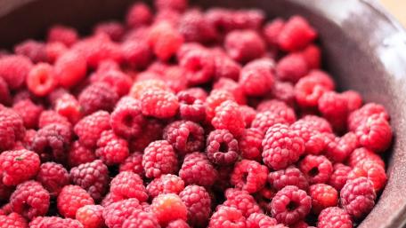 Fresh Raspberries A Berry Delightful Treat wallpaper