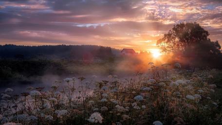 Misty Dawn Sunrise Over a Serene Landscape wallpaper