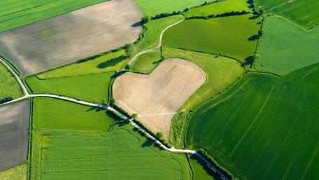 Heart-Shaped Fields Embracing Nature's Beauty wallpaper