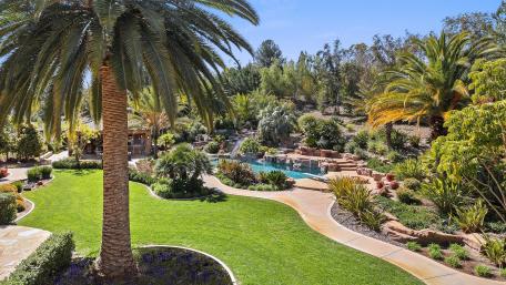 Tropical Urban Oasis: A Resort Paradise in the City wallpaper