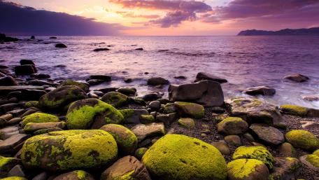 Serene Purple Horizon Over Mossy Stones wallpaper