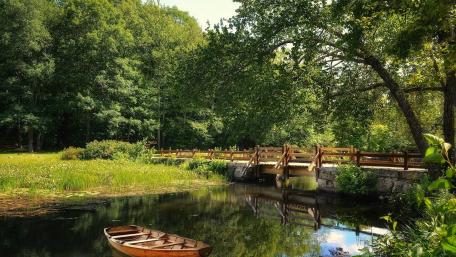 Tranquil Riverside Retreat wallpaper