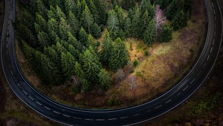 Curved Road Through Lush Forests wallpaper