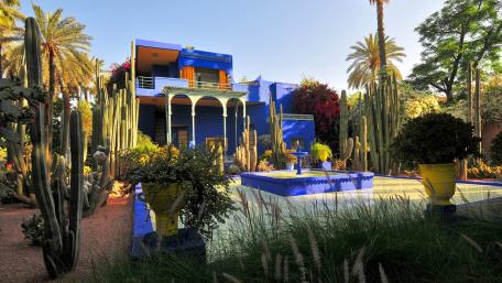 Vibrant Blue Oasis in a Desert Garden wallpaper