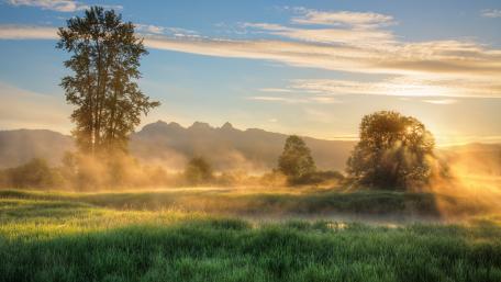 Serenity in a Misty Landscape wallpaper