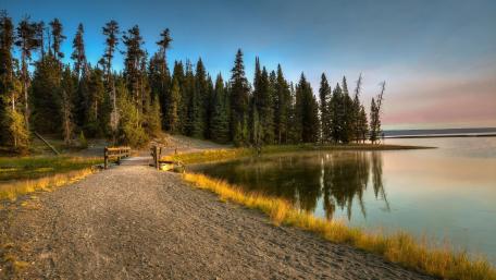 Tranquil Path by the Water wallpaper