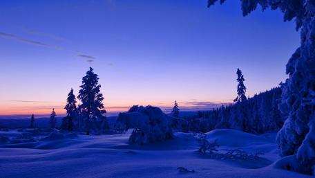 Winter Wonderland at Dusk wallpaper