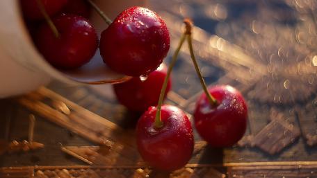 Freshly Picked Juicy Cherries with a Glorious Shine wallpaper
