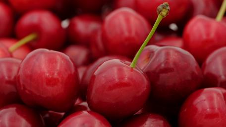 Vibrant Red Cherries in Close-Up Display wallpaper