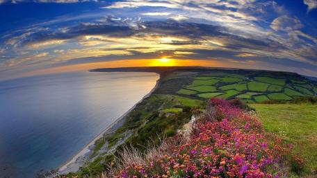 Vibrant Coastal Sunset Overlooking Verdant Fields wallpaper