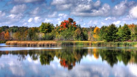 Lake's Autumn Reflection wallpaper