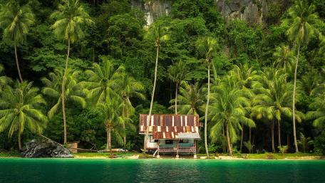 Tropical Paradise Cabin Surrounded by Lush Palms wallpaper