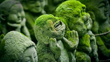 Whimsical Mossy Statues in Nature's Embrace wallpaper