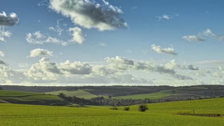 Serene Green Fields Under a Cloudy Sky wallpaper