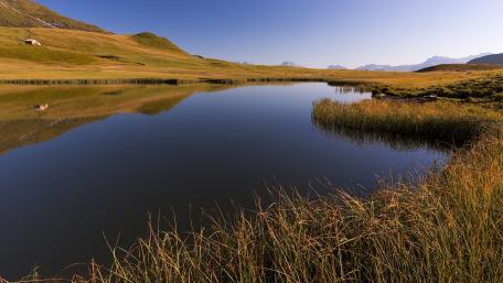 Serene Reflections in Wetland Landscapes wallpaper