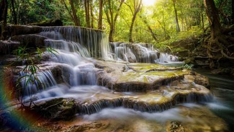 Tranquil Serenity of a Forest Waterfall wallpaper