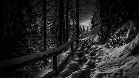 Winter Pathway Through Snowy Mountains wallpaper
