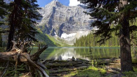Serene Mountain Lake Reflection wallpaper