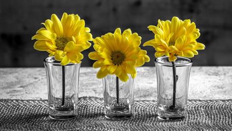 Bright Blooms in Elegant Glasses wallpaper