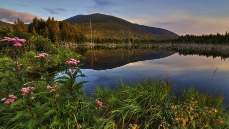 Serene Lake Reflection Amidst Lush Hillside Flora wallpaper