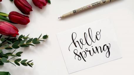 Blooming Red Tulips Welcome Spring wallpaper
