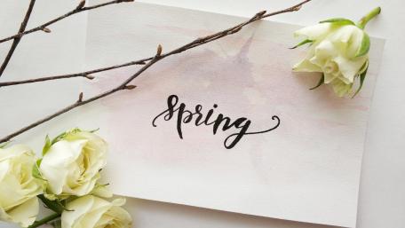 Blossoms of Spring Elegance wallpaper