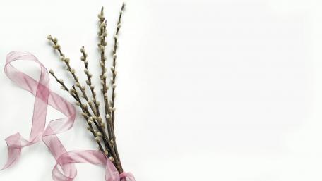 Delicate Spring Flowers with Ribbon Accents wallpaper