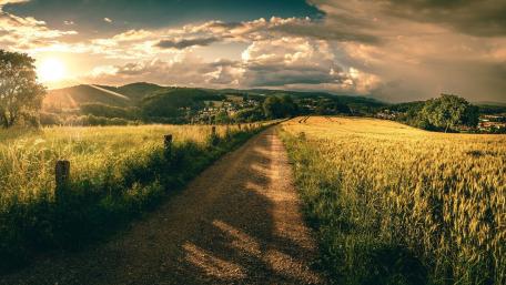 Golden Hour Trail Through the Fields wallpaper
