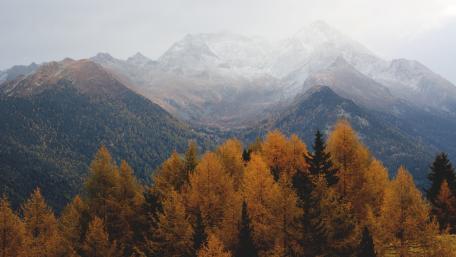 Majestic Autumn Mountains View wallpaper