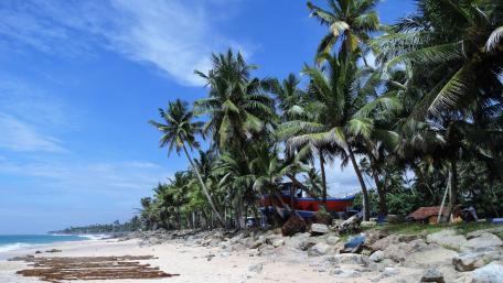 No human on the beach (Sri Lanka) wallpaper