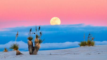 Moonrise Over Sandy Dunes wallpaper