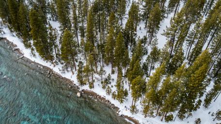 Serene Winter River and Forest View wallpaper