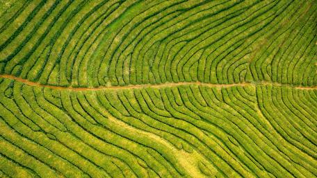 Azorean islands wallpaper