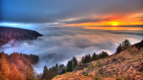 Sea of clouds wallpaper